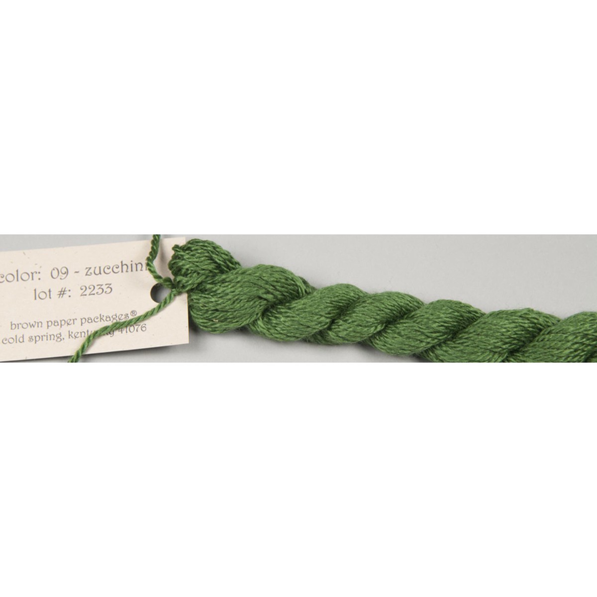 Zucchini 09
